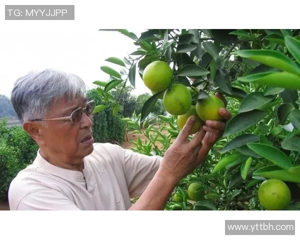 内罗的传奇人生与历史背影探秘之旅
