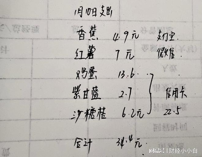 理财并不是高不可攀的事情从最基础的收支记录开始IM体育登录做起(图2)